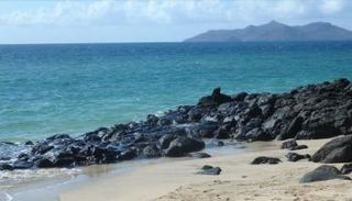 22% من المدن الكبرة معرضة للغرق- أرشيفية