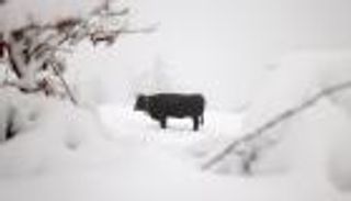 إسبانيا تسجل أدنى درجة حرارة على الإطلاق.. 34 تحت الصفر