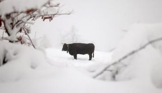 إسبانيا تسجل 34.1 درجة مئوية تحت الصفر