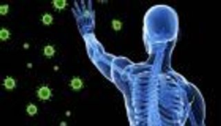 15 حقيقة مدهشة عن جهاز المناعة.. قائد الحرب ضد كورونا