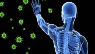المناعة تلعب دورا رئيسيا في حماية الإنسان من الأمراض
