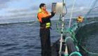 الموجات الصوتية تكشف الأسماك الجائعة