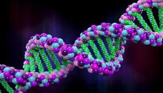 الحمض النووي الغريب يساهم في نمو الورم السرطاني