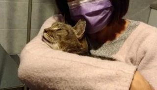 مونيكا فيريني مع قطها ماندارينو بعد العثور عليه