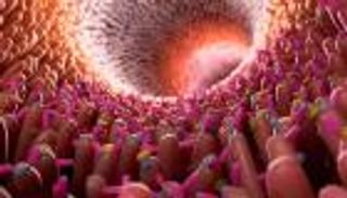 أمل جديد لكبح كورونا.. السر في "بكتيريا الأمعاء"