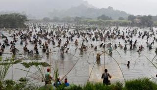 صيد جماعي في الهند احتفالا بمهرجان "البونجال" للحصاد