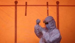 هناك صلة واضحة بين ميكروبيوم الأمعاء المتغير وكوفيد-19 الحاد