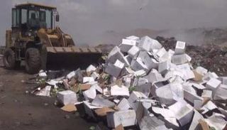 إتلاف مساعدات باليمن 