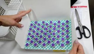 لقاح كورونا