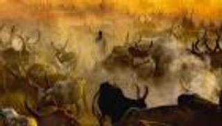 الأبقار في جنوب السودان.. إرث اجتماعي يصل لحد التقديس عند الدينكا