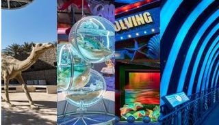 جناح الاستدامة 