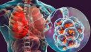 السر في "التورين".. اكتشاف آليات دفاع الجسم ضد البكتيريا الضارة