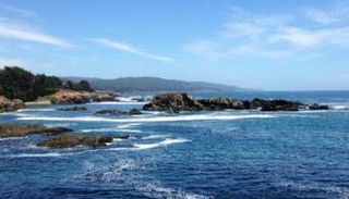 أسطول من الروبوتات ذاتية الحركة لمتابعة الكائنات الدقيقة في المحيطات