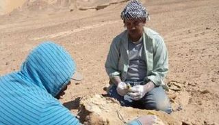 موقع اكتشاف عظام السلحفاة