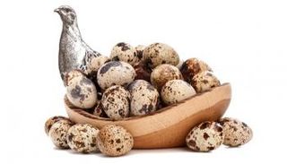 7 فوائد لبيض السمان