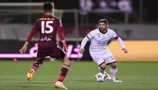 الدوري السعودي للمحترفين