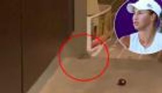 الفئران تصنع الحدث في أستراليا المفتوحة.. 3 مطالب ورد غريب