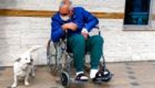 بالصور.. كلبة مخلصة تنتظر صاحبها المريض أمام المستشفى 6 أيام