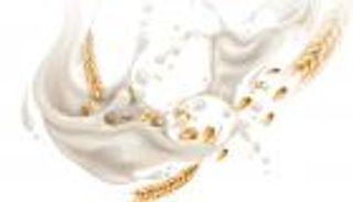 إنفوجراف.. الشوفان كنز من الفوائد الصحية