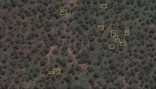 الأقمار الاصطناعية تساعد في الحفاظ على الفيلة