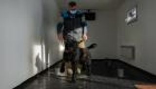 بالصور.. التشيك تستعين بـ"الكلاب" لرصد مصابي كورونا 