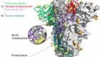 التسلسل الجيني.. العلم يصل "سن الرشد" على يد كورونا