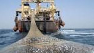 تركيا تنهب ثروات موريتانيا.. "رسالة الوالي" تفضح المستور