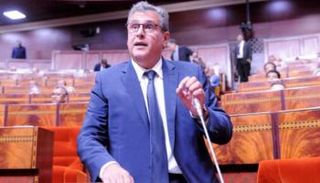 عزيز أخنوش وزير الفلاحة المغربي