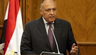 وزير الخارجية المصري سامح سكري