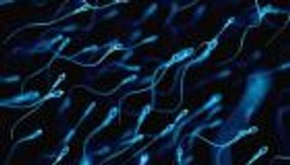 دراسة صادمة: كورونا يغير نوعية وشكل الحيوانات المنوية للرجال