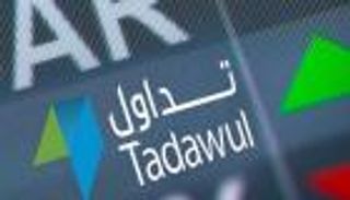 هل تطرح البورصة السعودية للاكتتاب العام؟.. مسؤول يكشف التفاصيل