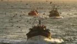 موريتانيا.. الحكومة تتصدى لسرقة تركيا الثروة السمكية