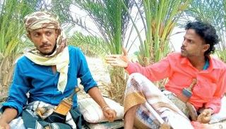 شباب يمنيون يواجهون عنصرية الحوثي بالفن