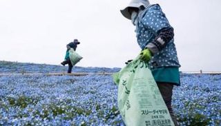 ارتفاع الطلب على زهور شرق أفريقيا