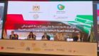 خطوة مهمة في مشروع الربط الكهربائي بين مصر والسعودية.. تفاصيل 