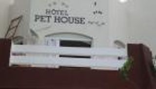 أول فندق للحيوانات الأليفة في تونس.. تجربة فريدة