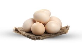 إنتاج العالم من البيض - أرشيفية