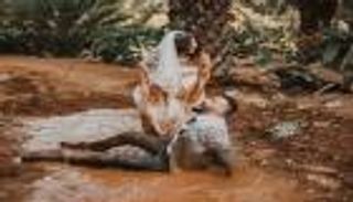 "الفوتوسيشن".. طريق المصورين والهواة للربح السريع في مصر