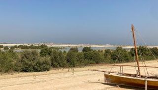 مشروع غابة المانجروف