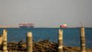 اكتشاف "مخلوق عملاق" يحرس سفينة غارقة.. ما علاقة مصر؟