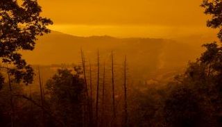 الدخان الكثيف يغطي المناظر الطبيعية في ولاية كاليفورنيا الأمريكية