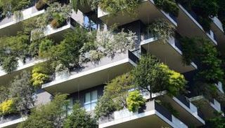 نموذج لتحويل العقارات إلى 