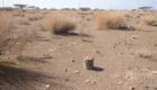 الحياة قرب فخاخ الحوثي.. الخطوة الخاطئة ثمنها الموت