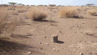 الألغام الحوثية صغيرة الحجم تهدد السكان لعشرات السنين