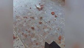 وزن السمكة بلغ حوالي 3 كيلوجرامات