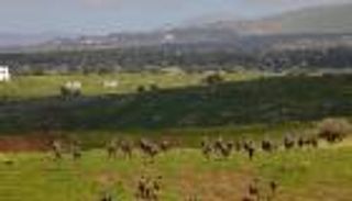 إسرائيل تغلق أجواء الجولان بعد هجوم تدمر السورية 