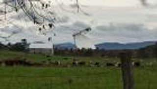 "الهروب من التكنولوجيا".. سياحة جديدة على بعد 4 ساعات من واشنطن