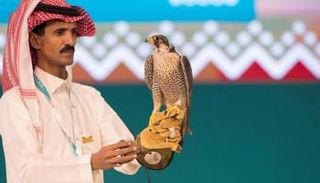 مزاد نادي الصقور السعودي الثاني