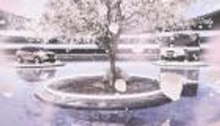 حملة "فلنتحرك".. "نيسان" تستشرف مستقبلًا أكثر استدامة عبر إكسبو 2020 دبي