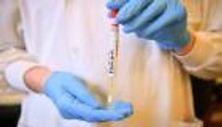 كورونا حول العالم.. الإصابات تتجاوز 240 مليوناً وارتفاع وفيات ألمانيا والمكسيك